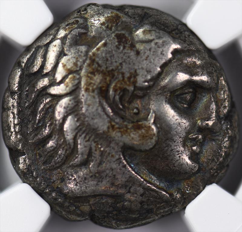 Sicily, Siculo-Ounic 300-289 BC AR Tetradrachm Hercules Horse hd, Palm Tree NGC VF 