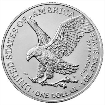 2024 1 OZ American Silver Eagle TEST  other side