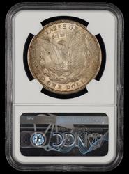1921 D $1 NGC MS 62